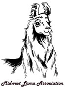 Midwest Lama